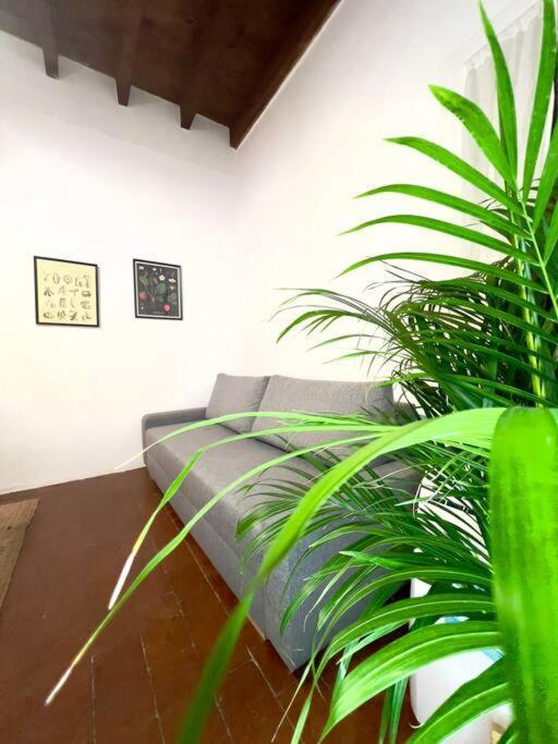 דירות Casa Centro Firenze Wi Fi Aria Condizionata Netflix מראה חיצוני תמונה